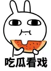 娱乐吃瓜酱好运,揭秘明星幕后故事，带你领略娱乐圈的神秘魅力